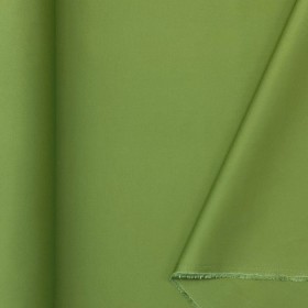 Alternative Olive Alternative Olive